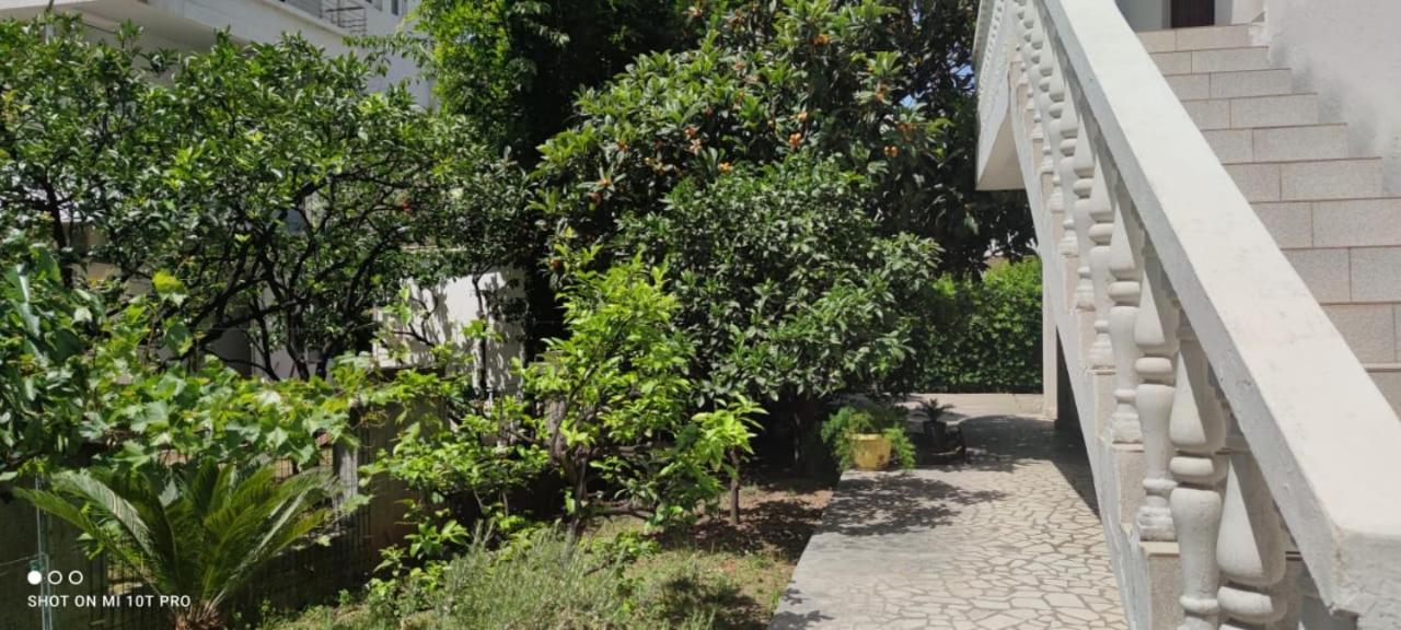 House Irena Ξενοδοχείο Μπούντβα Εξωτερικό φωτογραφία