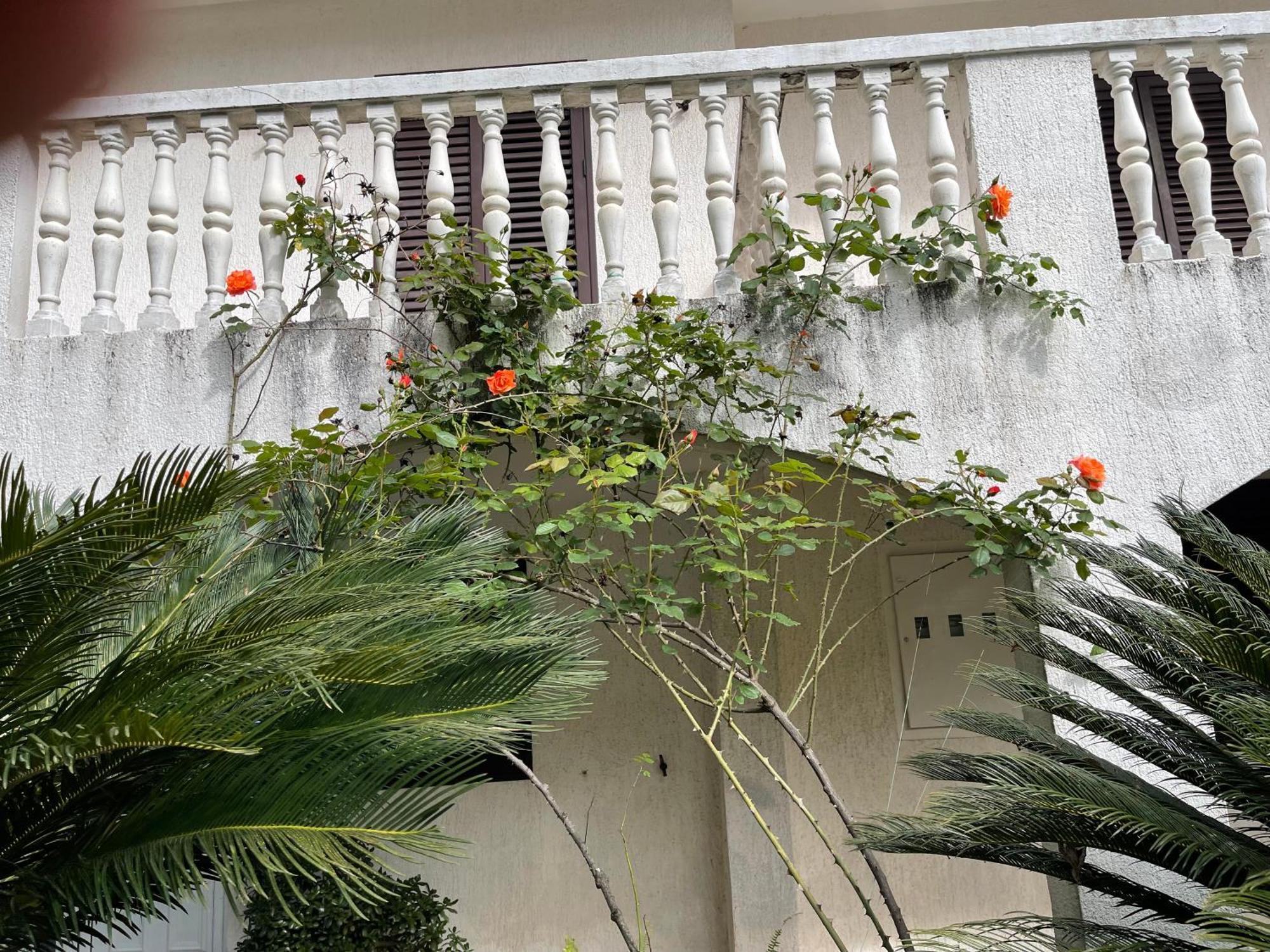 House Irena Ξενοδοχείο Μπούντβα Εξωτερικό φωτογραφία